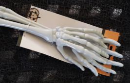 Skeleton Arms/Hands Tongs Salad Spoons Halloween Dining Utensils Props ? - £9.57 GBP