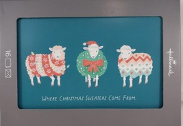 Merry Wishes to Ewe Funny Boxed Christmas Cards, Pack of 16 - €14,39 EUR