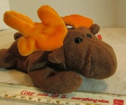 TY Beanie Babies Baby plush BROWN MOOSE &quot;CHOCOLATE &quot;   - £9.32 GBP
