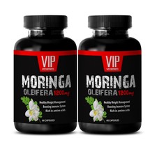 brain and memory herb - MORINGA OLEIFERA 1200MG - moringa tree - 2 Bottles - £17.49 GBP