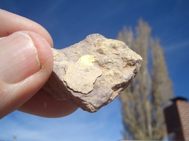 Item image 9