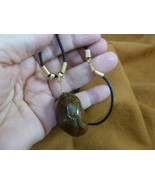 (PP31-19) Real Jumbo MOOSE POOP doo doo turd nugget NECKLACE weird fun a... - $18.69