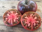 CHEROKEE PURPLE TOMATO SEEDS ~ heirloomseedguy  NON-GMO 30 Seeds - £5.57 GBP