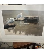 Robert Bateman Print &quot;Still Morning Herring Gulls #52/950 - Signed by Ar... - $176.01 CAD