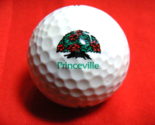 Vintage Collectable Golf Ball Princeville Titleist HP2 Tour 14-a - $12.86