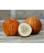 Tigger Melon Seeds Beautiful And Aromatic Organic Non GMO Fast Grow - $15.00 CAD