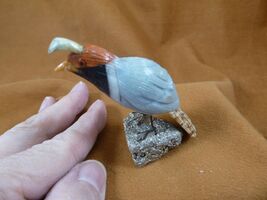 (Y-BIR-QU-20) Quail blue red black bird gemstone STONE figurine Peru quails - $28.99