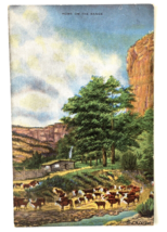 Home On The Range From Original Oil Painting L. H. Dude Larsen Postcard - £5.52 GBP