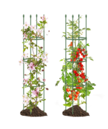 2-Pack Garden Trellis Tomato Cage with Adjustable Height-Green - £61.81 GBP