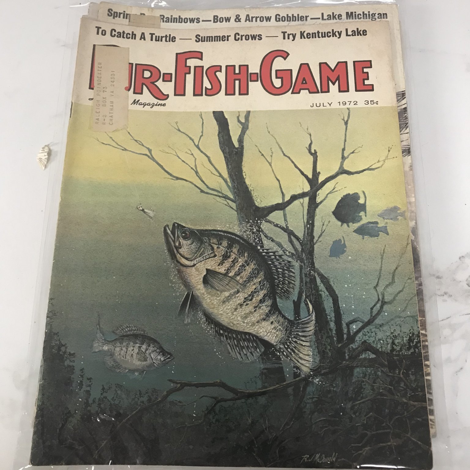 Full-size item image