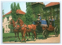 Vintage Castle Carriage Lańcut Horse Drawn Coach Poland Postcard - $5.95