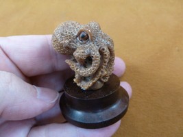 (tb-octo-49) standing Octopus TAGUA NUT palm figurine Bali reef octopi - £41.19 GBP