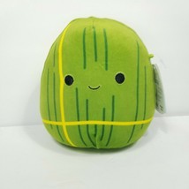 Tavio the Tamale 7&quot; Squishmallow NEW Watermelon Green Yellow Cinco De Mayo - £14.46 GBP