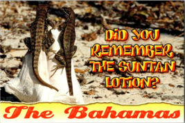 Postcard Bahamas Vacation Tourists Destination Greetings  Lizards 6 x 4 Inches - £3.94 GBP
