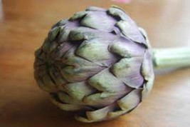 50 Seeds Artichoke Green Globe Heirloom Seeds Swift Plant Success - $8.35