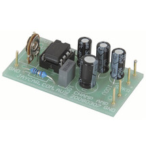  Champ Audio Amplifier Kit (0.5 Watt) - $23.24