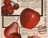 Allen&#39;s 1956 Catalog of Lake Erie Grown Climatized Fruit Trees Plants &amp; ... - $17.82