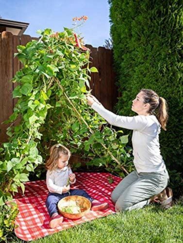 Living Growing Trellis Tent + 25 Kentucky Blue Pole Bean Seeds- Seed Play Love