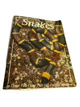 Snakes Three Full Colour Pull Out Posters Inside Book - £11.89 GBP