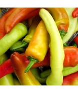 SEPTH Hungarian Hot Wax Pepper Seeds Capsicum Annuum B141 - $12.21 CAD