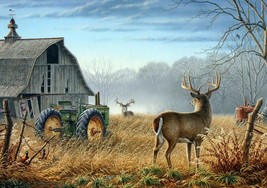FRAMED CANVAS ART PRINT whitetail deer abandoned country farm tractor wildlife - £31.47 GBP+