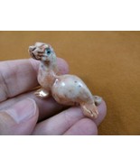 (Y-SEAL-34) SEAL red white gray small gem stone SOAPSTONE PERU I love ba... - €7,32 EUR