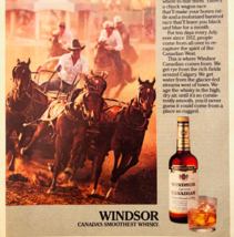 1984 Windsor Supreme Canadian Whiskey Advertisement Vintage Distillery D... - $182.78 MXN