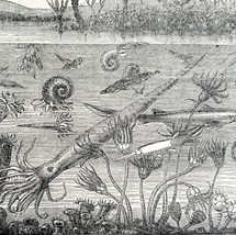 Fish And Sea Creatures Of Silurian Age 1887 Wood Engraving Victorian Art DWEE34 - £19.57 GBP