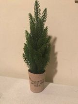 2 Small tabletop pine Trees - SALE image 2