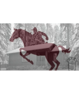 Ranger Bill Radio Show 220 Episodes on 4G USB Stick - $367.81 MXN