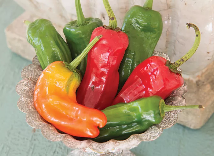 BPASTORE 50 Cubanelle Sweet Pepper Non-Gmo Variety Sizes Seeds Online - £7.62 GBP