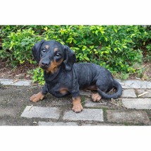 Dachshund Polyresin - $111.86