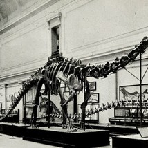 Smithsonian Museum Dinosaur Skeleton 1930-40s Postcard Service Men PCBG12B - £15.72 GBP