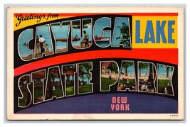 Large Letter Greetings From Cayuga Lake State Park New York Linen Postcard U14 - £3.13 GBP