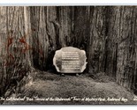 RPPC Cathedral Tree Shrine of the Redwoods Redwood Highway CA Postcard W16 - £2.33 GBP