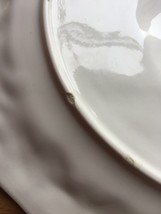 Vintage White Himark/Chesapeake Oval Turkey Serving Platter image 7