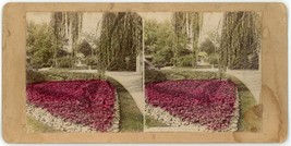 c1900&#39;s Real Photo Hand Tinted Stereoview &quot;The Willows Greeting&quot; View of Garden - £12.41 GBP