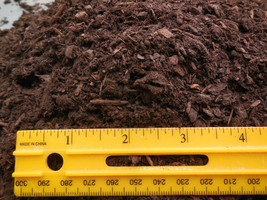5 Qts. Aged Fine Fir Bark for Bonsai/Succulent/Cactus and Seed Starting ... - £5.57 GBP