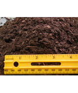 5 Qts. Aged Fine Fir Bark for Bonsai/Succulent/Cactus and Seed Starting ... - £5.52 GBP