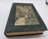 Little Nature Library Trees Julia E. Rogers 1923 - $9.89