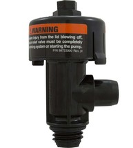 Pentair 98209800 High Flow Manual Air Relief Valve Fits Purex/PacFab &amp; M... - $242.30 MXN