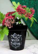 Water Don&#39;t Torture Rose Vines Wicca Witch Apothecary Flower Herbs Planter Pot - £20.29 GBP