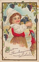 Best Thanksgiving WISHES-YOUNG Pilgrim Girl Keeps Grapes From Turkey Postcard - £5.68 GBP