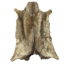 Naturally Black Springbok Skin- Antelope Hides L  Size: 34X26 inch - $73.26