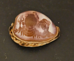 Etched Tiger Cowrie Shell Seashell Trident Queen Warrior Andaman FREE SHIPPING - £15.56 GBP