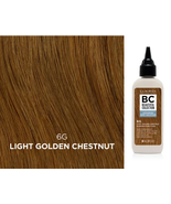 Clairol Beautiful Collection Advanced Gray Solution - 6G Light Golden Ch... - $293.64 MXN