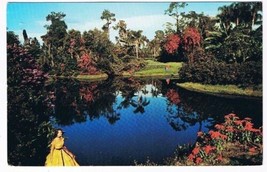 Florida Postcard Blossom Time Cypress Gardens - £1.71 GBP
