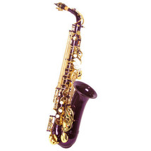 Holiday Sale! "Sky" Alto Saxophone W Wonderful Versatile Case Limited Time - $279.99