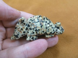 (Y-ARM-716) spotted ARMADILLO carving FIGURINE gemstone love AZ armadill... - $24.99
