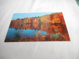 Vintage Postcard unposted Cedar Run Pennsylvania Lake fall nature 1950s - $111.60 MXN